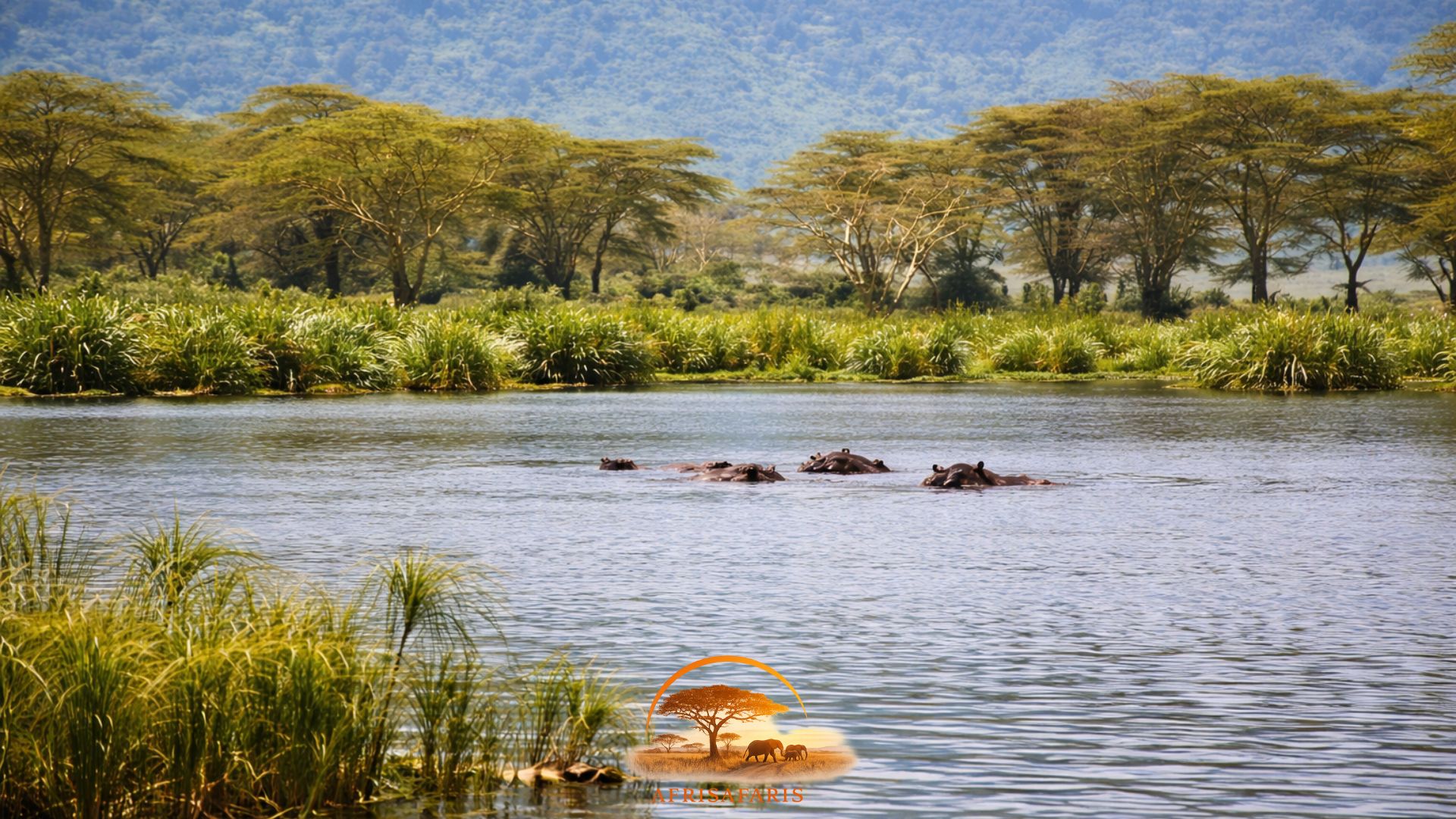 Lake Naivasha